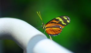 Preview wallpaper butterfly, surface, pipe, shadow