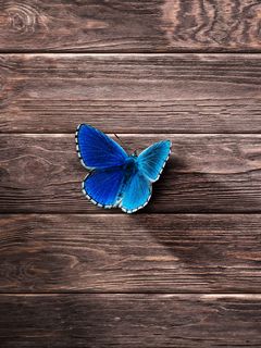 240x320 Wallpaper butterfly, surface, wooden