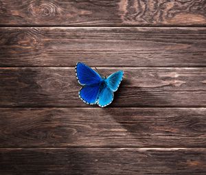 Preview wallpaper butterfly, surface, wooden