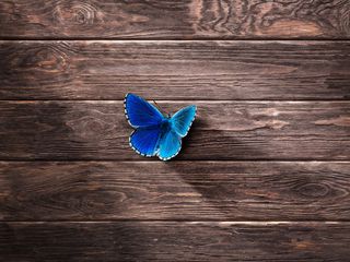 320x240 Wallpaper butterfly, surface, wooden
