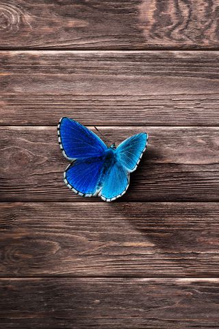 320x480 Wallpaper butterfly, surface, wooden