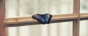 Preview wallpaper butterfly, window, wings, patterns, frame