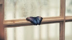 Preview wallpaper butterfly, window, wings, patterns, frame