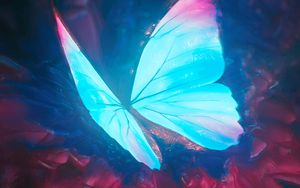 Butterfly 4k ultra hd 16:10 wallpapers hd, desktop backgrounds 3840x2400,  images and pictures