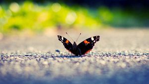 Preview wallpaper butterfly, wings, surface, light, insect