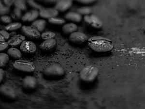 Preview wallpaper bw, coffee, macro, closeup