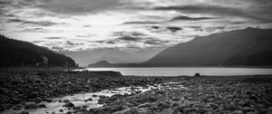 Preview wallpaper bw, landscape, stones, water, forest