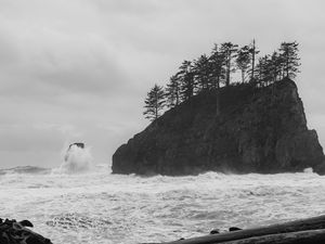 Preview wallpaper bw, rocks, waves, spray