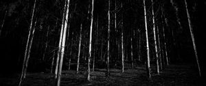 Preview wallpaper bw, trees, forest, gloomy