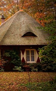 Preview wallpaper cabins, forest, autumn, house, landscape