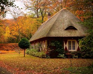 Preview wallpaper cabins, forest, autumn, house, landscape