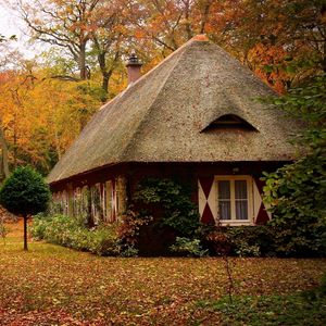 Preview wallpaper cabins, forest, autumn, house, landscape