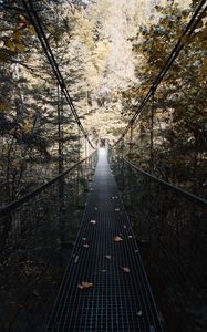 Preview wallpaper cable bridge, bridge, forest, trees, fallen foliage