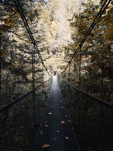 Preview wallpaper cable bridge, bridge, forest, trees, fallen foliage