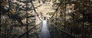 Preview wallpaper cable bridge, bridge, forest, trees, fallen foliage