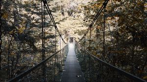 Preview wallpaper cable bridge, bridge, forest, trees, fallen foliage