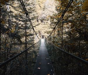 Preview wallpaper cable bridge, bridge, forest, trees, fallen foliage