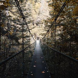 Preview wallpaper cable bridge, bridge, forest, trees, fallen foliage