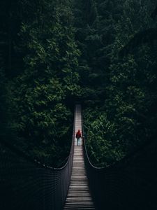 Preview wallpaper cable bridge, bridge, forest, trees, silhouette