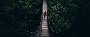 Preview wallpaper cable bridge, bridge, forest, trees, silhouette