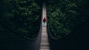 Preview wallpaper cable bridge, bridge, forest, trees, silhouette