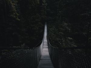 Preview wallpaper cable bridge, bridge, forest, trees, dark