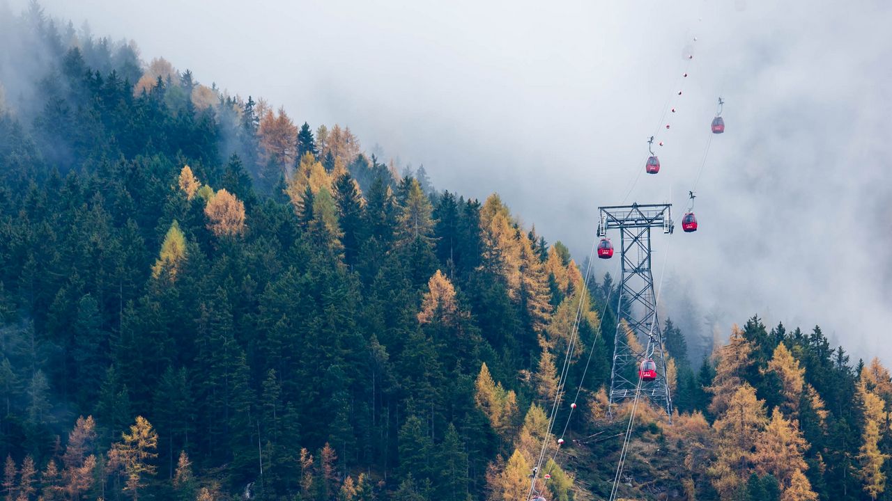 Wallpaper cable car, cabins, forest, trees