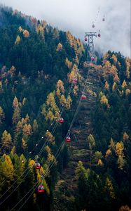 Preview wallpaper cable car, cabins, forest, trees