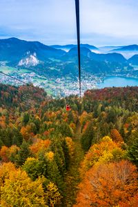 Preview wallpaper cable car, view from above, trees, mountains, autumn