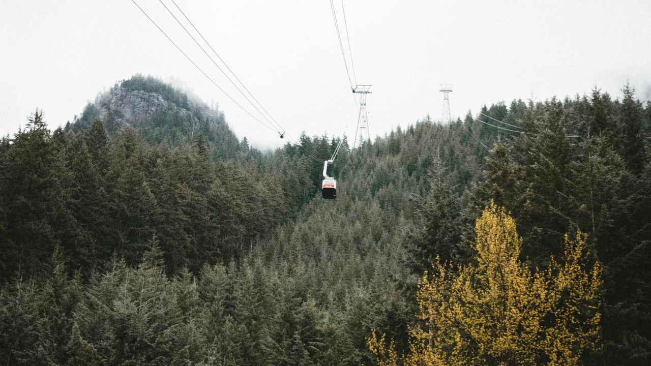 Wallpaper cableway, forest, trees, mountains, height