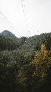 Preview wallpaper cableway, forest, trees, mountains, height