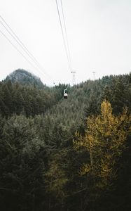 Preview wallpaper cableway, forest, trees, mountains, height