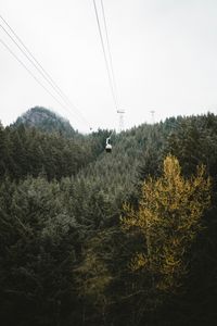 Preview wallpaper cableway, forest, trees, mountains, height