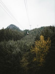 Preview wallpaper cableway, forest, trees, mountains, height