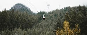 Preview wallpaper cableway, forest, trees, mountains, height