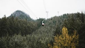 Preview wallpaper cableway, forest, trees, mountains, height