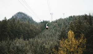 Preview wallpaper cableway, forest, trees, mountains, height