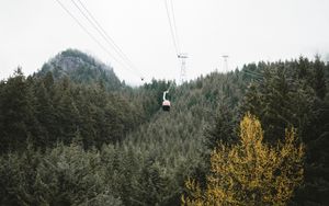 Preview wallpaper cableway, forest, trees, mountains, height