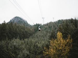 Preview wallpaper cableway, forest, trees, mountains, height