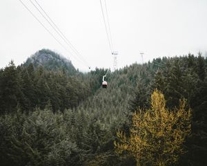 Preview wallpaper cableway, forest, trees, mountains, height