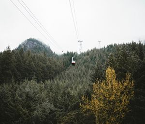 Preview wallpaper cableway, forest, trees, mountains, height