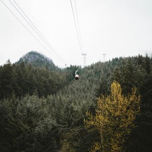 Preview wallpaper cableway, forest, trees, mountains, height