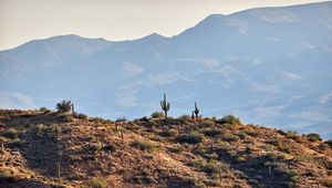 Preview wallpaper cacti, prairie, hills, mountains, rocks