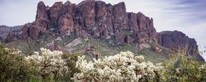 Preview wallpaper cacti, rocks, landscape, nature