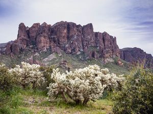 Preview wallpaper cacti, rocks, landscape, nature