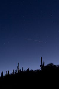 Preview wallpaper cacti, slope, night, silhouettes, starry sky