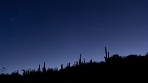 Preview wallpaper cacti, slope, night, silhouettes, starry sky