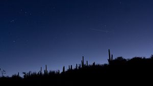 Preview wallpaper cacti, slope, night, silhouettes, starry sky