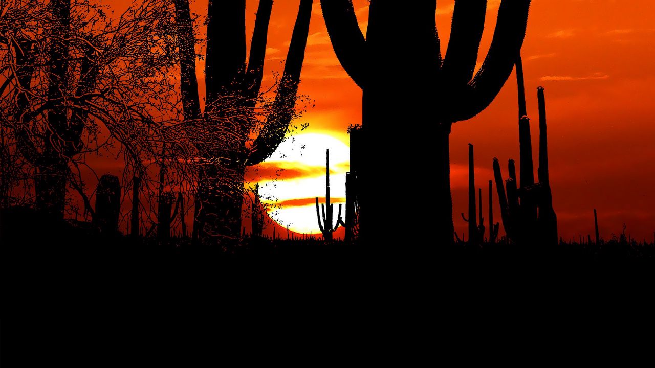 Wallpaper cacti, sun, sunset, twilight, dark, outlines