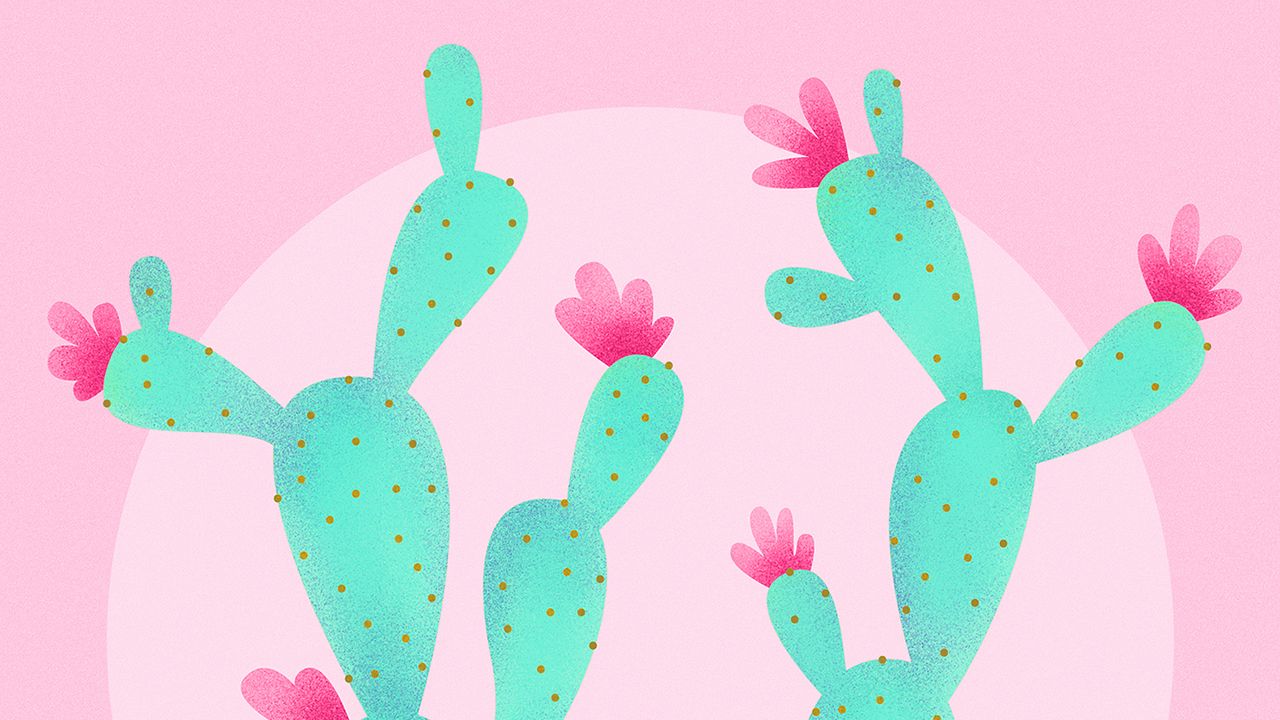 Wallpaper cactus, flowers, pink, art